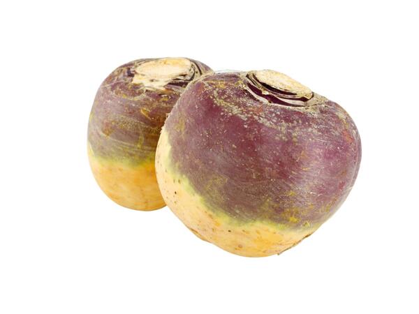 Turnip