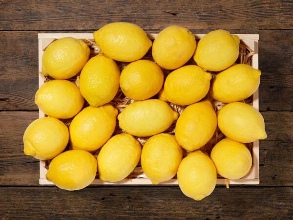 Citrons bio