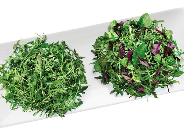 Rucola oder Mix Salat