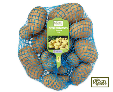 Seed Potatoes