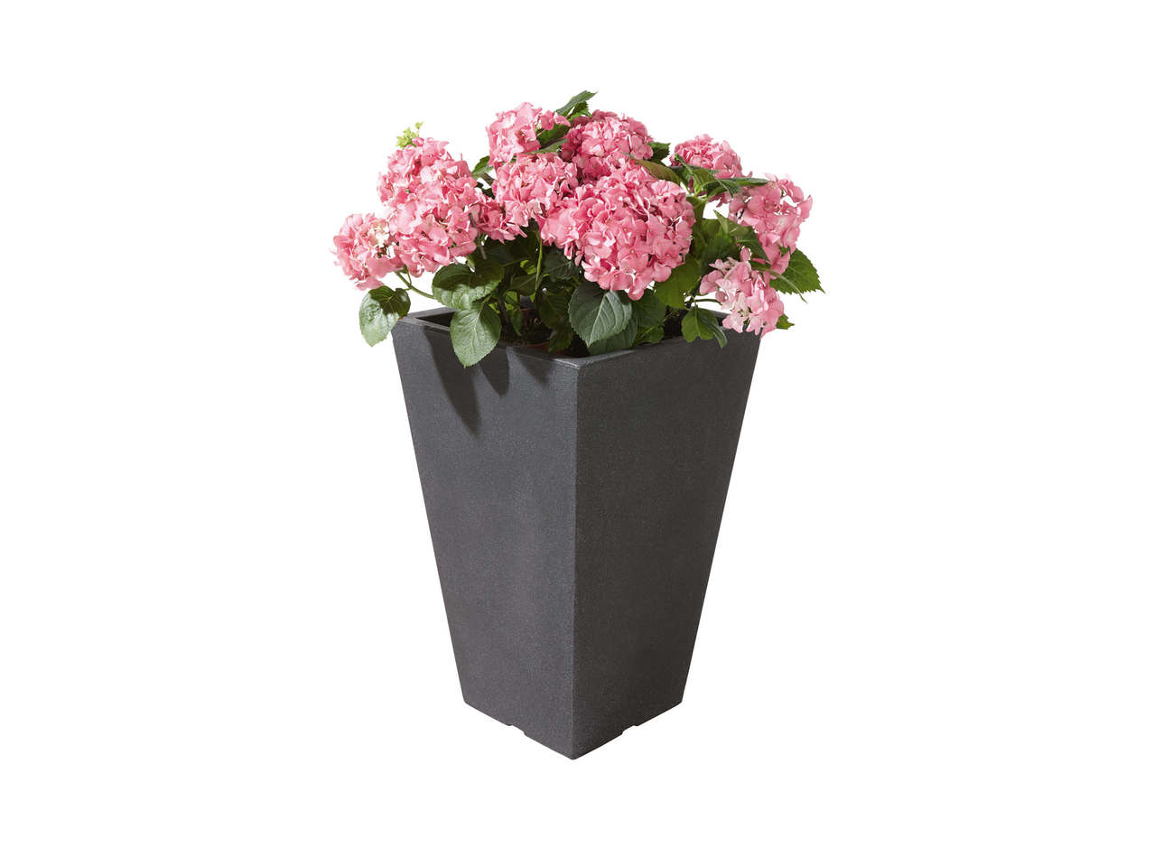 FLORABEST(R) Blomsterkrukke