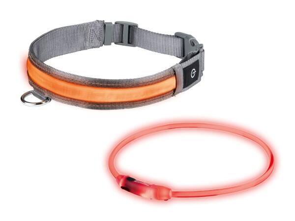 ZOOFARI(R) Hundehalsbånd/LED-lysbånd