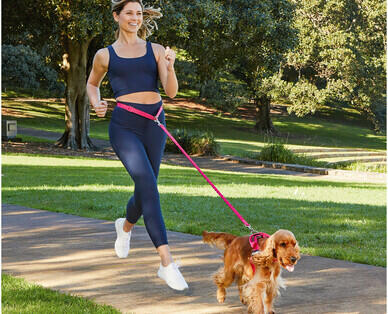 Extra Small or Small Dog Harness, Activity Lead or Rope Leads