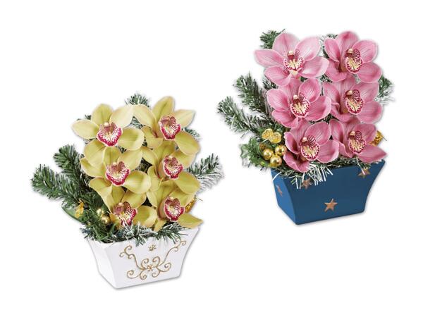 Orchideengesteck Groß