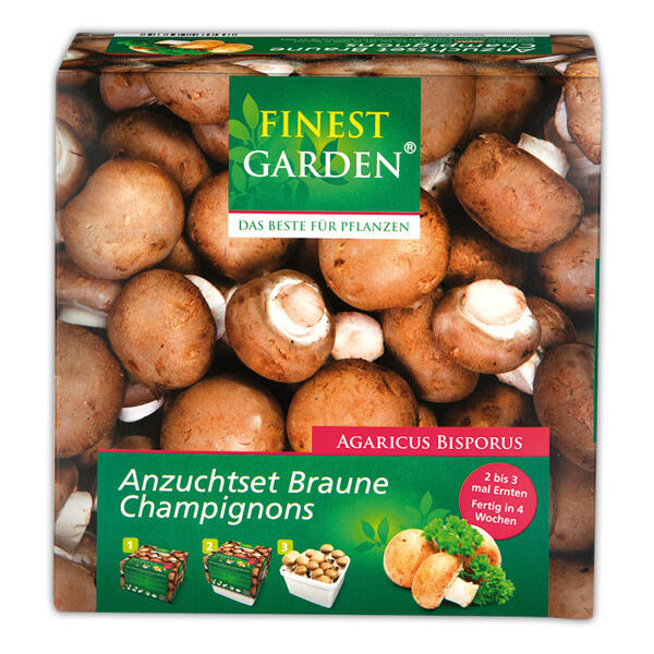 Champignon Anzuchtset