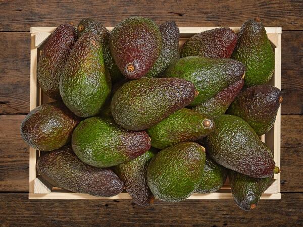 Avocado
