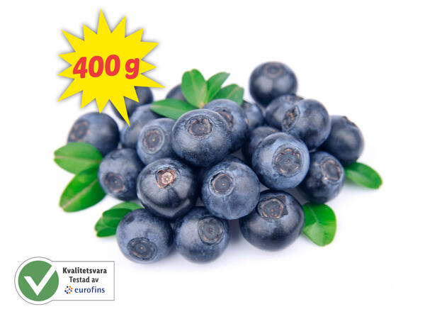 Blåbär