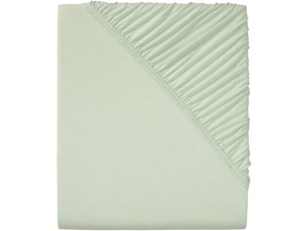 Jersey Fitted Sheet, Double