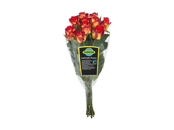 Fairtrade-roser