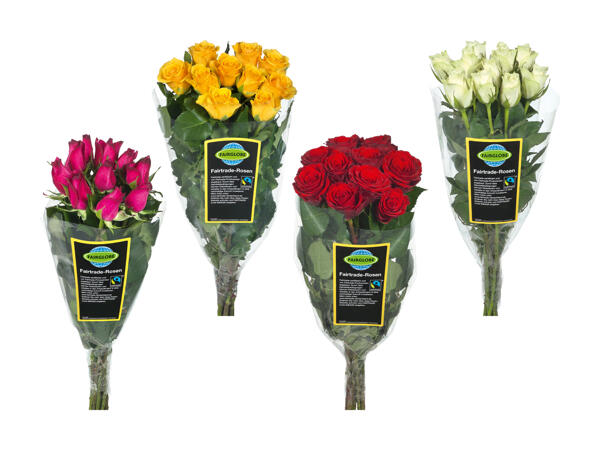 Fairtrade Rosen