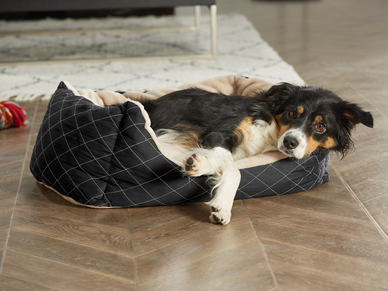 ZOOFARI(R) Hundeseng