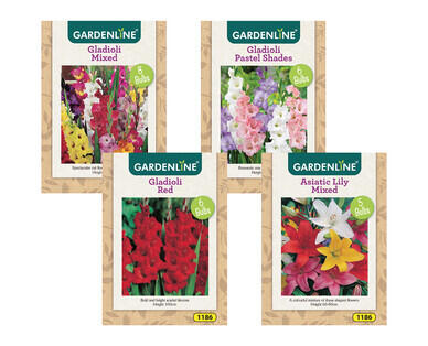 Packet Bulbs