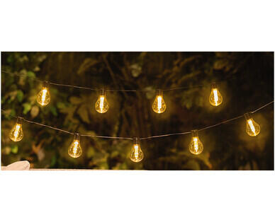 LED Festoon Lights