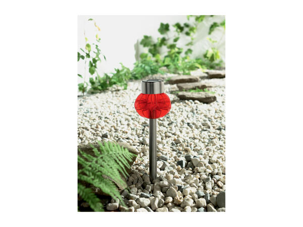 Livarno Home LED Solar Light