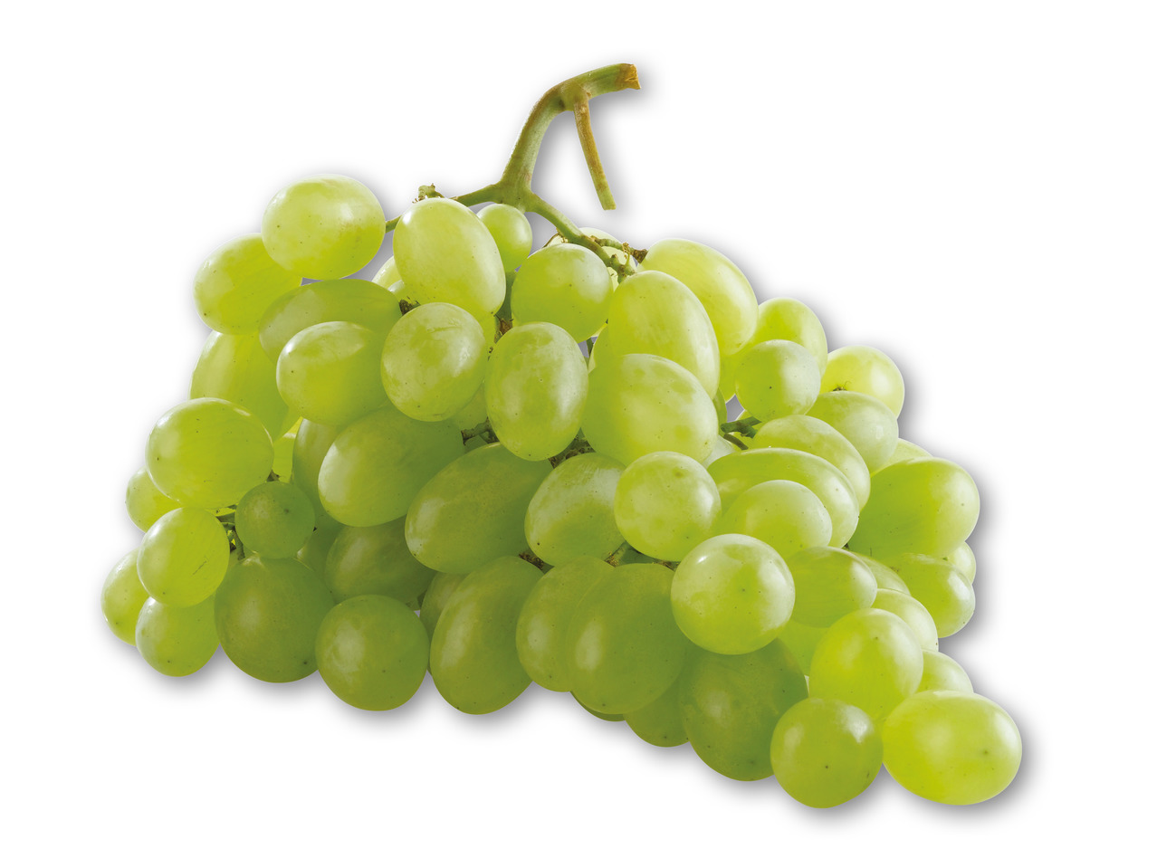 Grønne stenfri vindruer