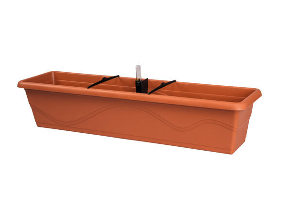 Plant Trough