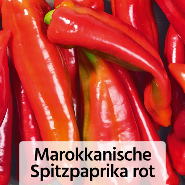 Fruchtgemüse / Tomaten