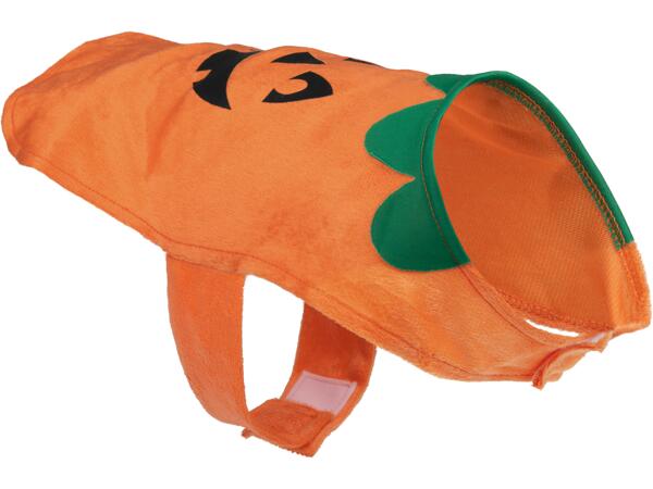 Halloweendräkt för hund