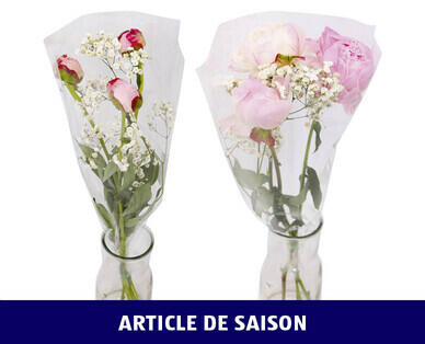 PIVOINES