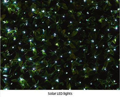 Expanding Artificial Leaf Screening with Solar LED Lights