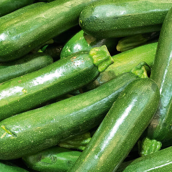 Bio-Zucchini