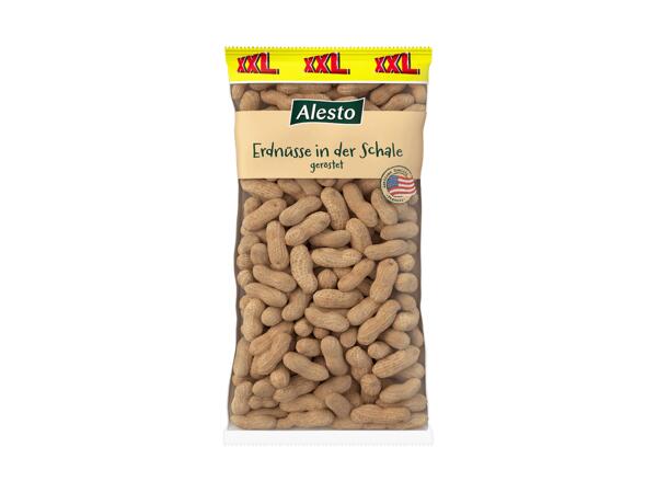 Erdnüsse in der Schale