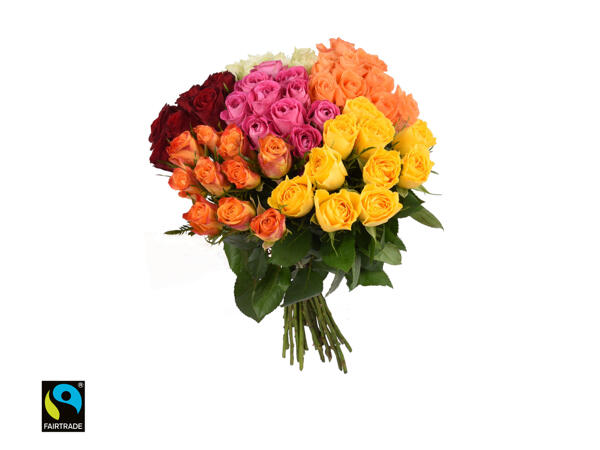 Fairtrade-rosor