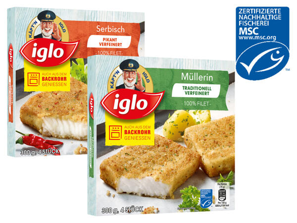 Iglo MSC Polar-Dorsch