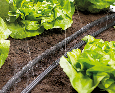 Tuyau d'arrosage perlant/diffus GARDENLINE(R)