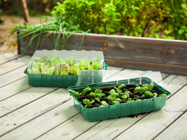 Propagator Set