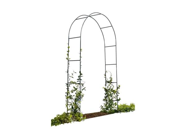 Rose Arch/​Trellis