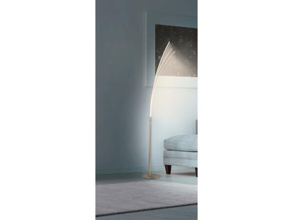 LED Curve Light