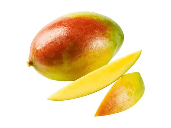 Mangue