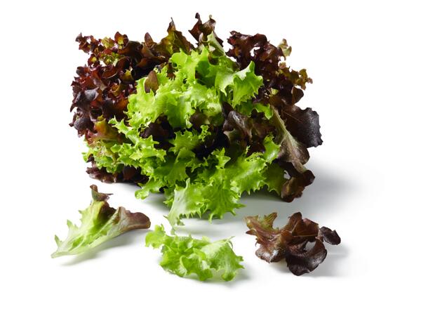 Salad Trio