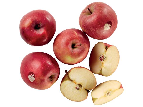 Fuji Apples