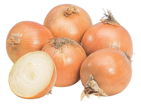 Österreichische Bio Zwiebeln