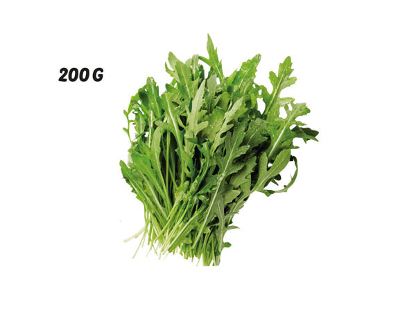 Ruccola