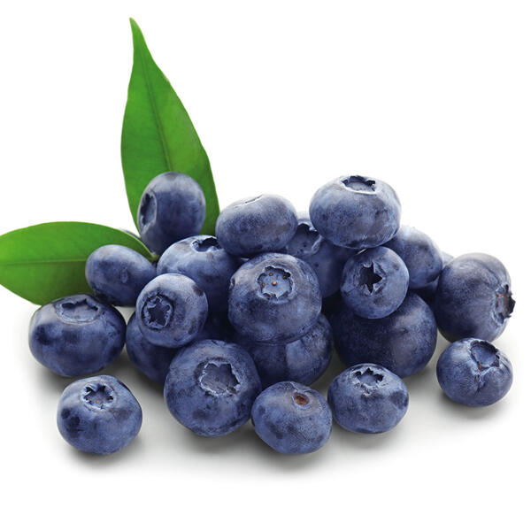 Premium Kulturheidelbeeren