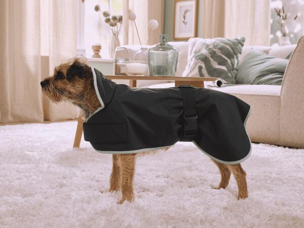 Hundemantel
