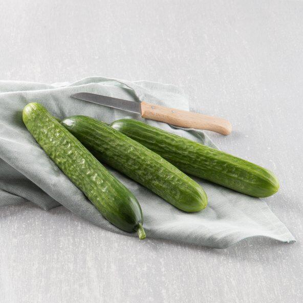Concombre snack XXL