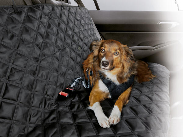 Hundedecke
