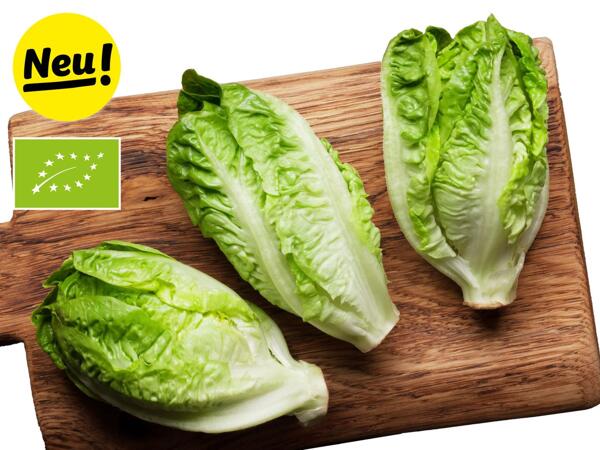 Bio Mini Romana Salat