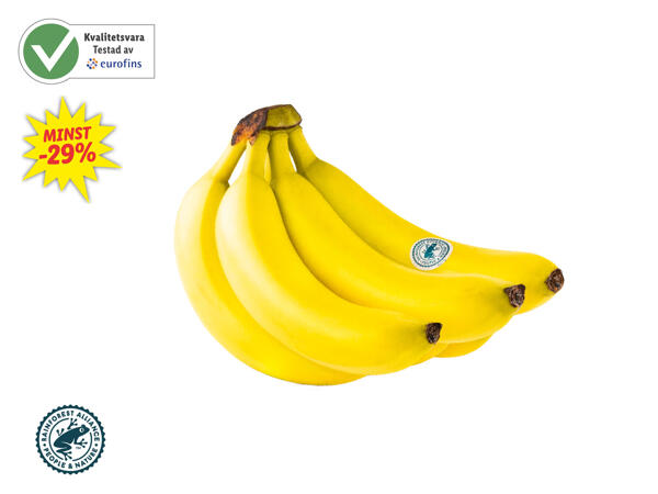 Bananer