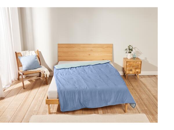 Double Freeze Reversible Duvet