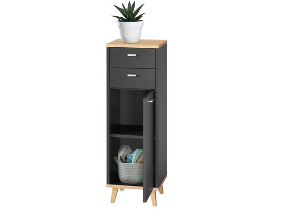 Bathroom Cabinet With 1 Door and 2 Drawers