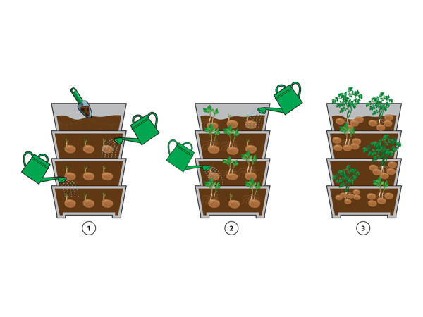 Parkside Potato Tower - 4 Piece Set