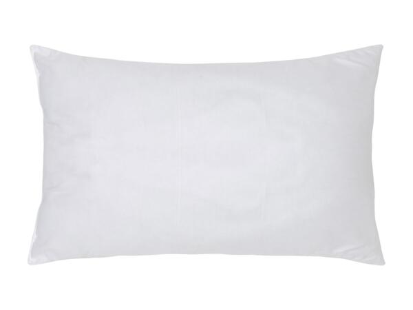 Support Pillow