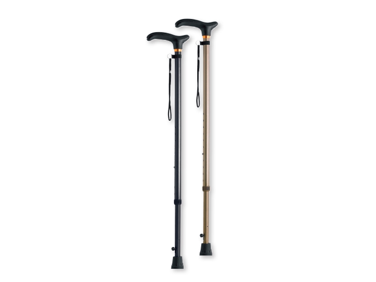 Wandelstok