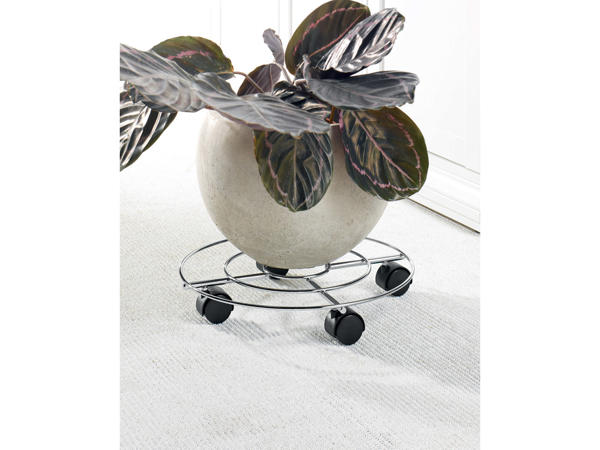 Plant Roller