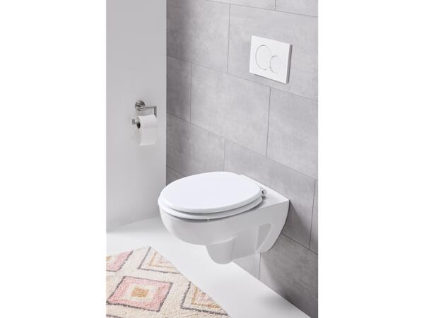 Toilet Seat
